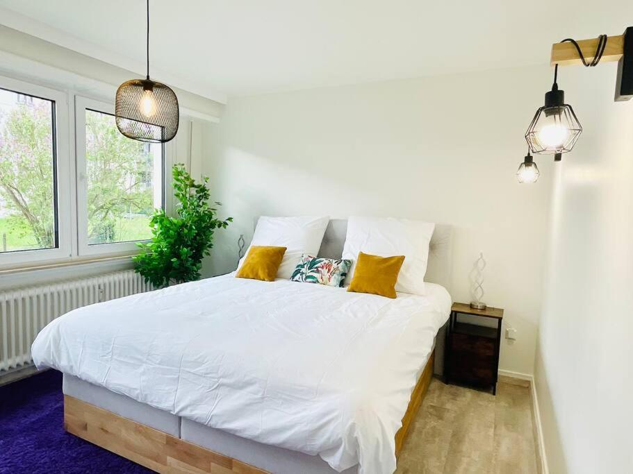 Large 3 Bedrooms In Center With Terrace&parking-bon1 Luxembourg