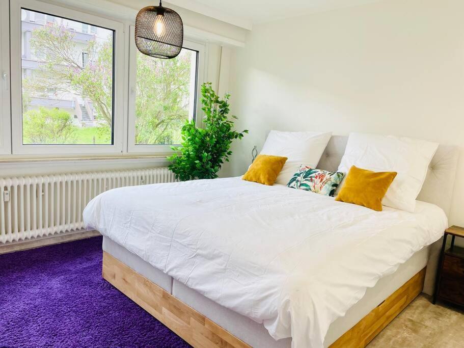 Large 3 Bedrooms In Center With Terrace&parking-bon1 * Luxembourg