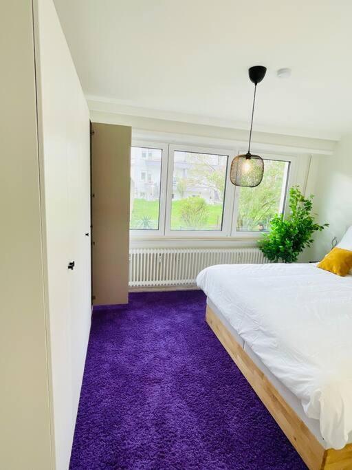Large 3 Bedrooms In Center With Terrace&parking-bon1 Appartement
